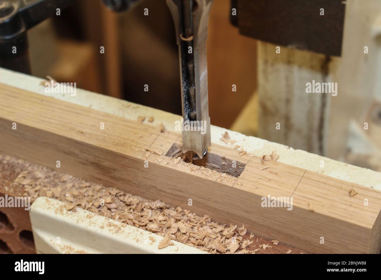 Cutting mortises in oak on a mortising machine, oak mortise Stock Photo