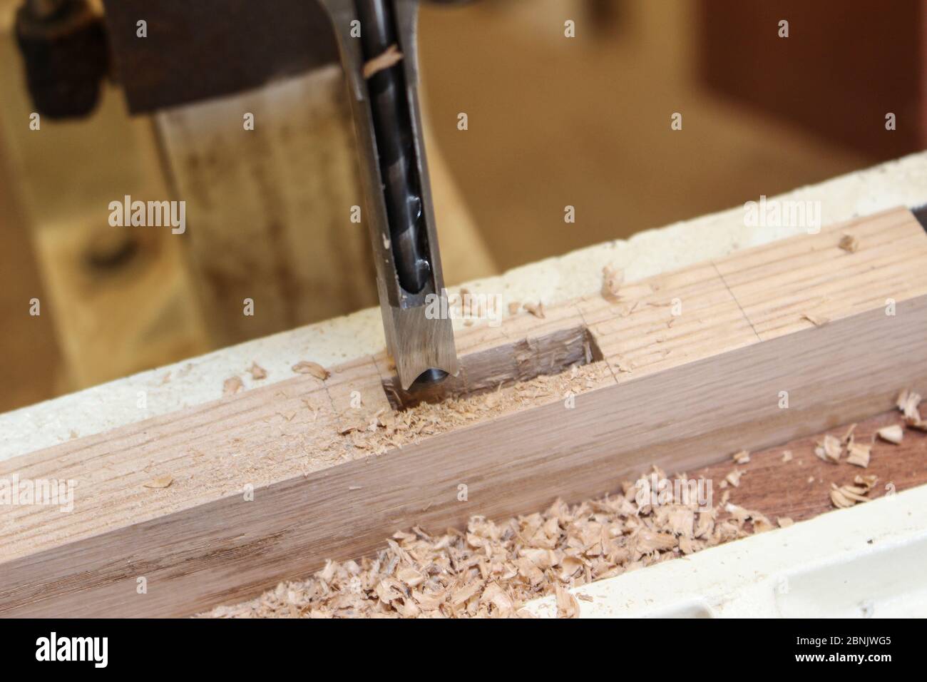 Cutting mortises in oak on a mortising machine, oak mortise Stock Photo Alamy