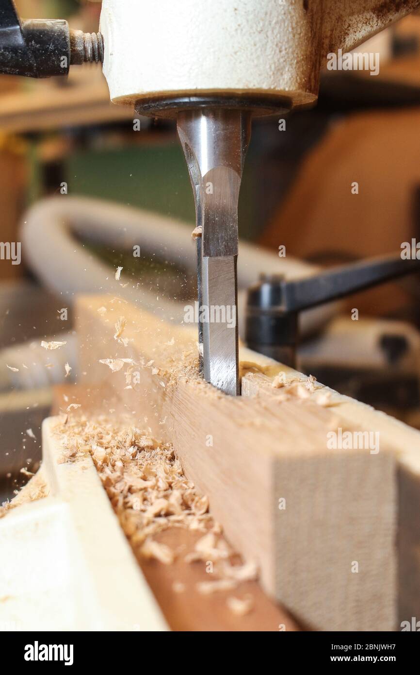 Cutting mortises in oak on a mortising machine, oak mortise Stock Photo Alamy