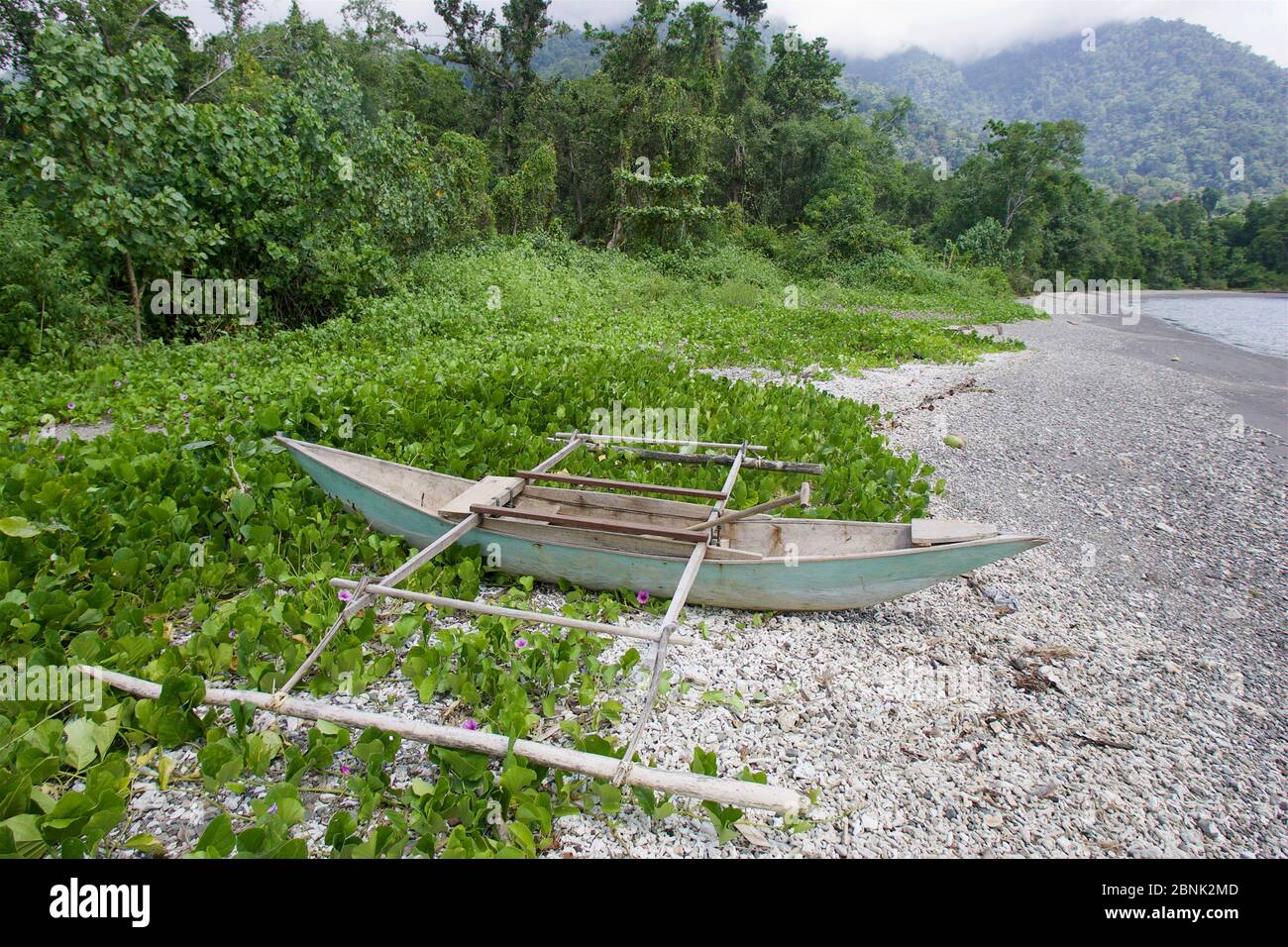 Small dugout canoe with outriggers on beach with beach Morning glory flowers (Convolvulaceae