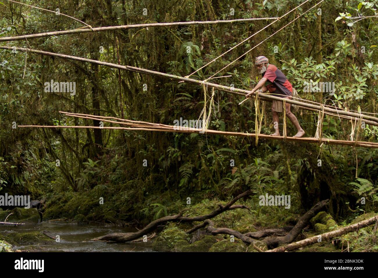 Huli elder constructing a traditional vine and pole suspension bridge over a stream, Papua New Guinea, November 2010. Stock Photo