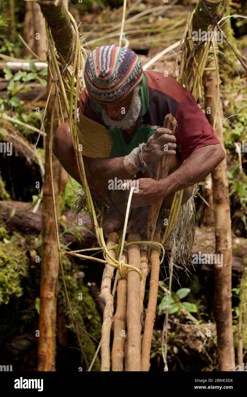 Huli elder constructing a traditional vine and pole suspension bridge over a stream. Papua New Guinea, November 2010. Stock Photo