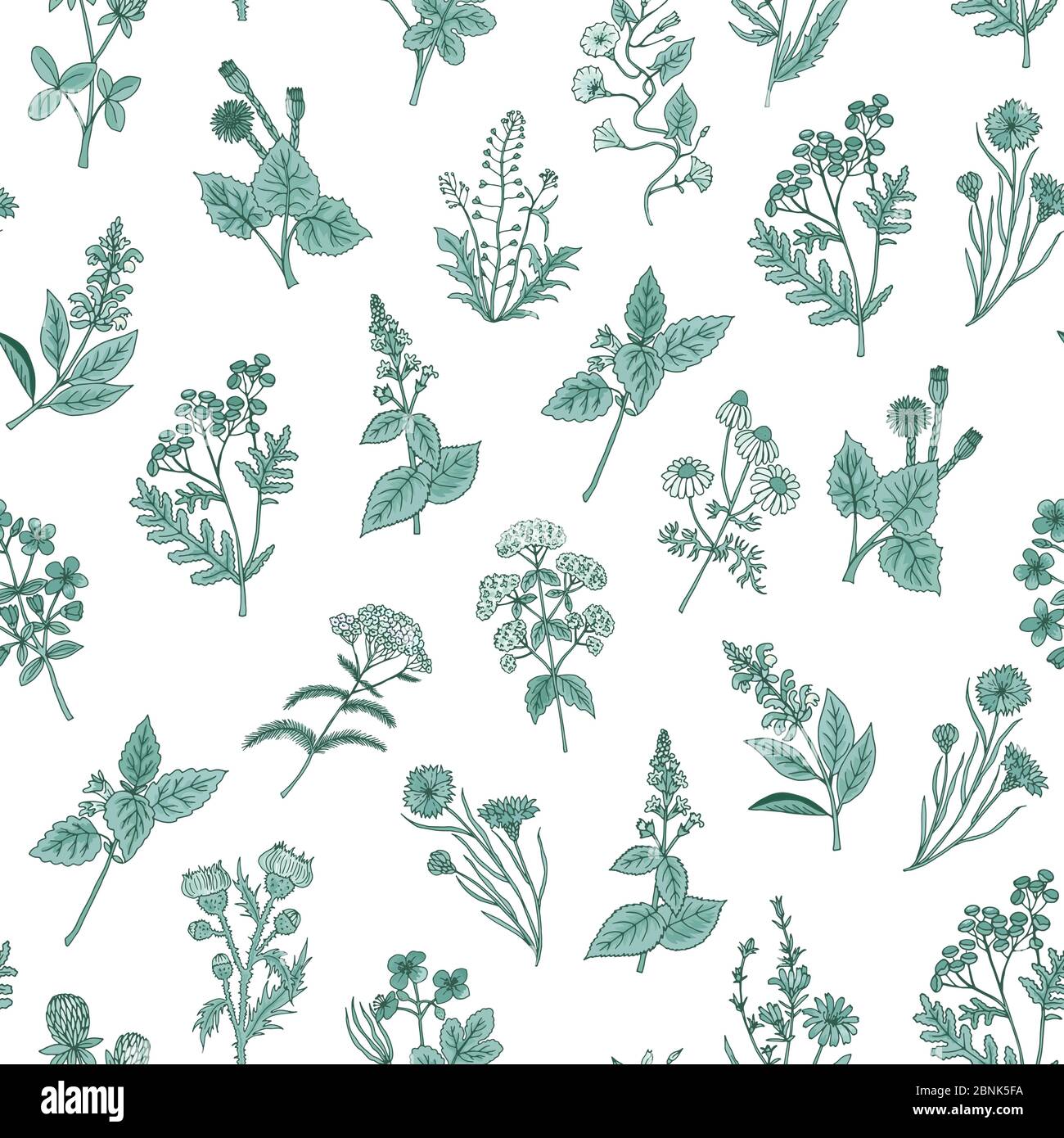 Vector hand drawn medical herbs pattern or background illustration ...