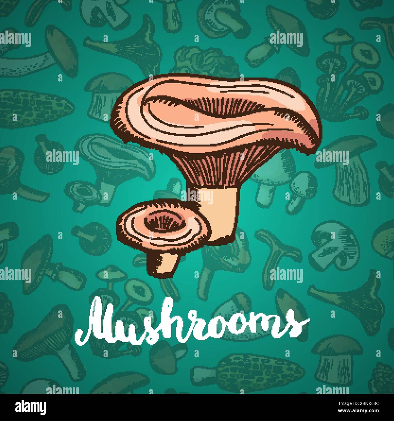Vector hand drawn mushrooms background illustration Stock Vector Image