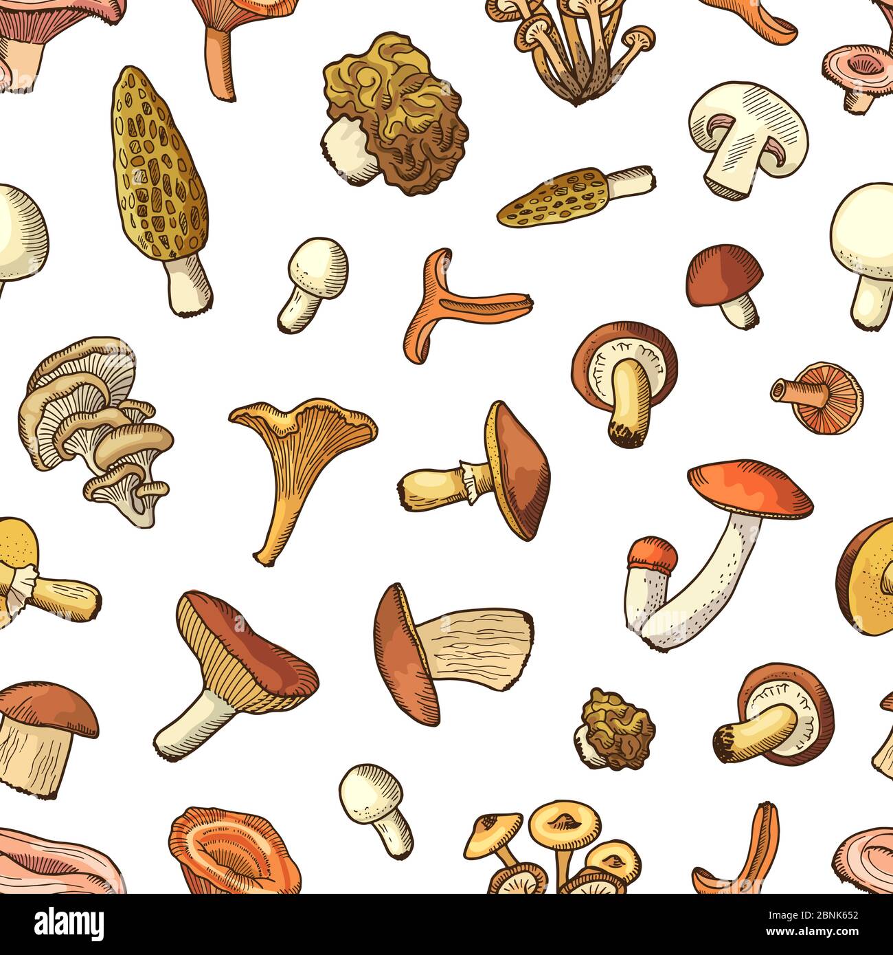 Vector hand drawn mushrooms background or pattern illustration Stock