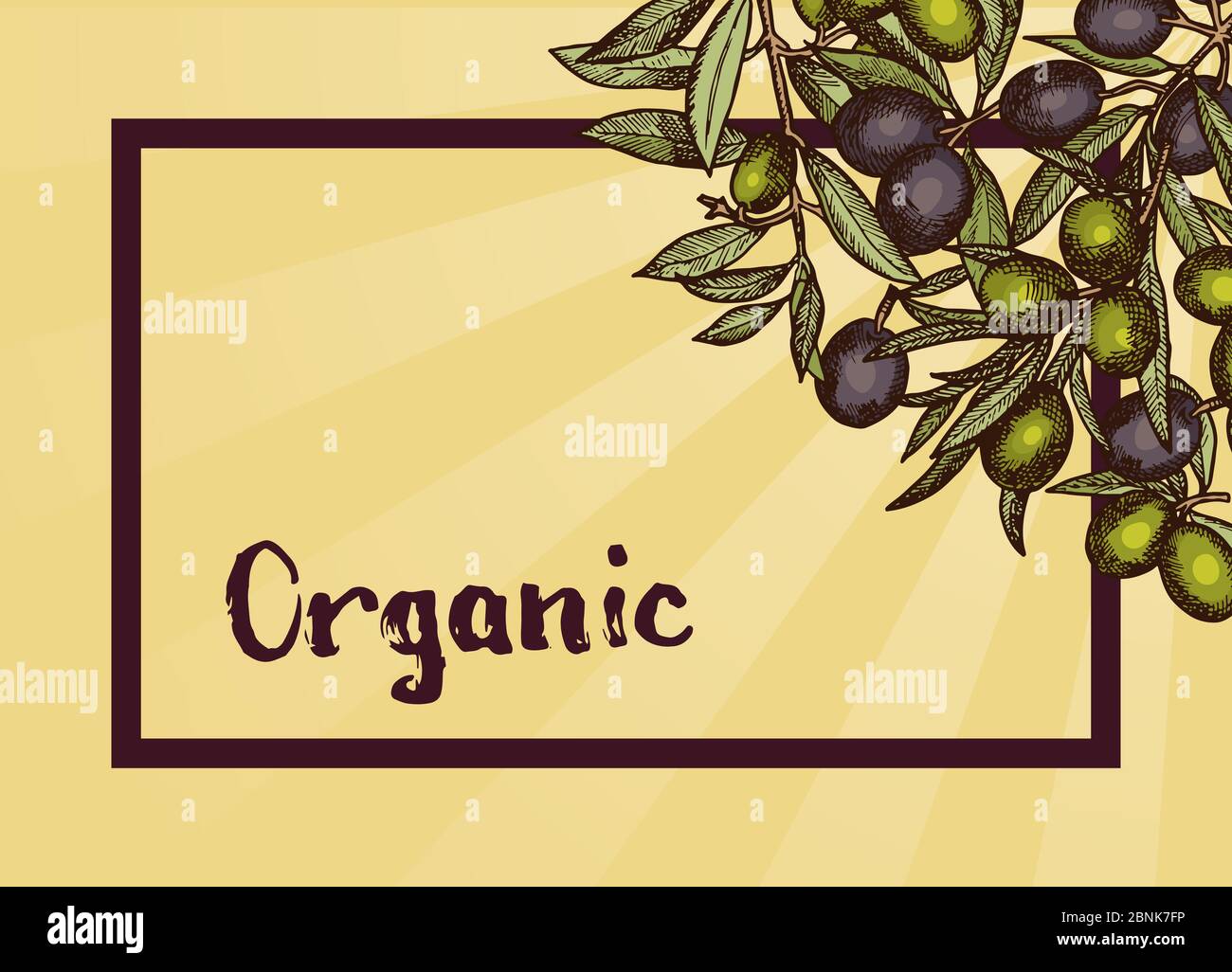 Vector frame with place for text and hand drawn olive branches Stock ...