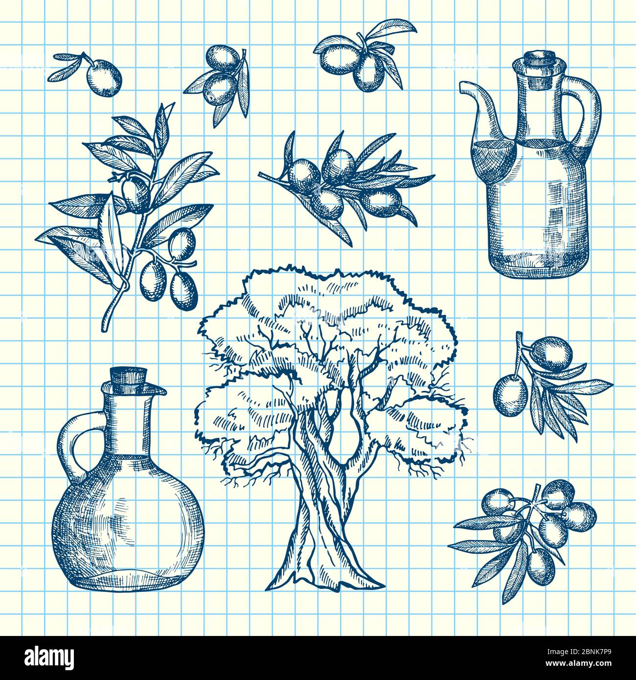 Vector hand drawn olive branches, bottles and tree on cell sheet Stock ...