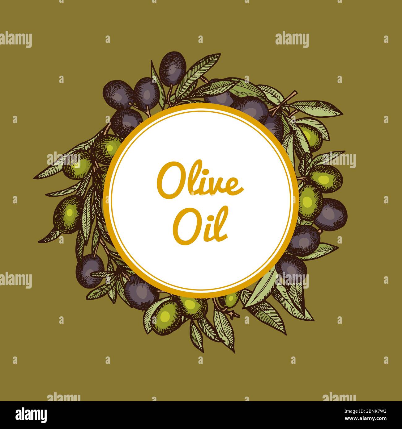 Vector hand drawn olive branches with place for text Stock Vector Image ...