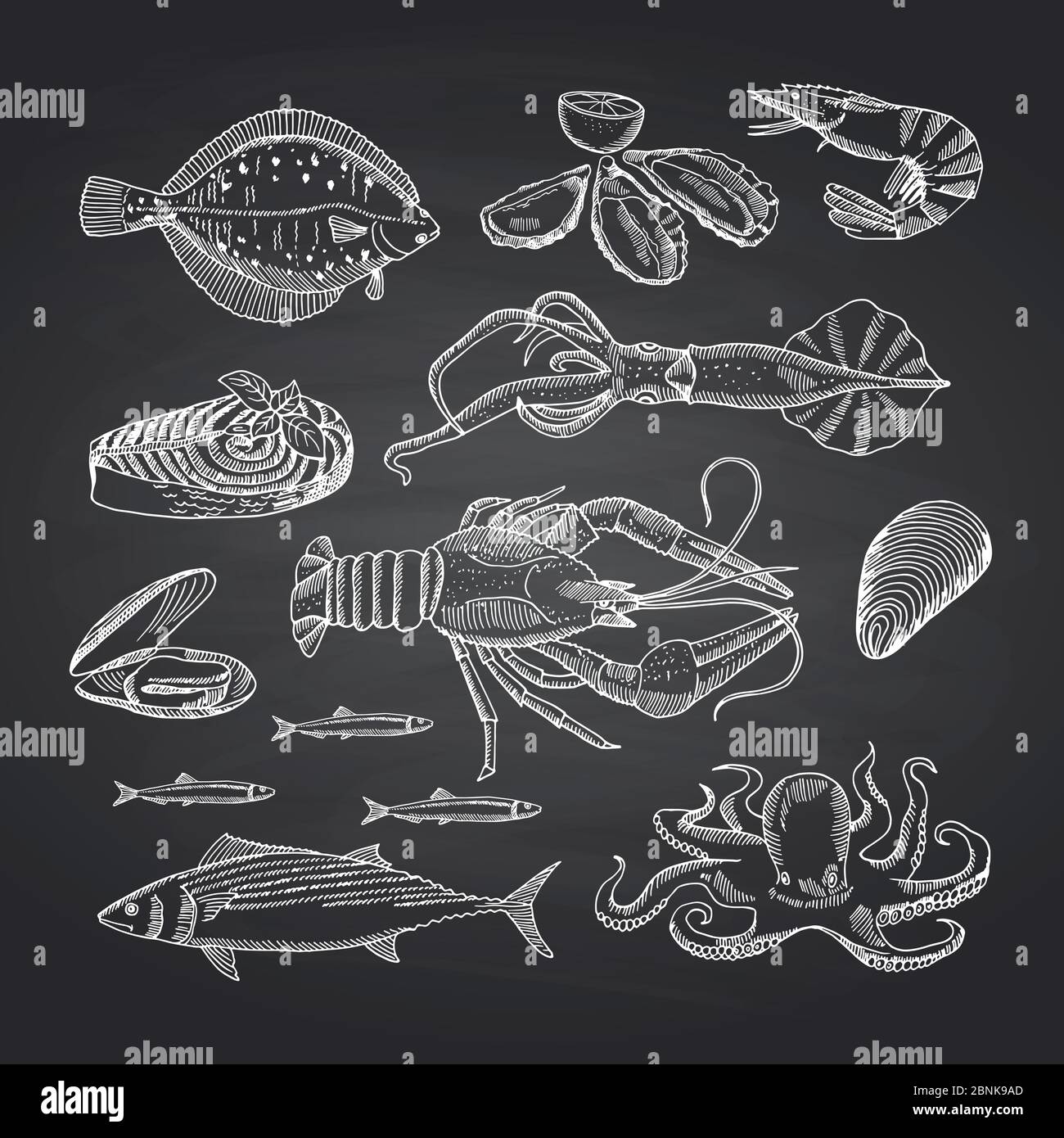 Vector hand drawn seafood elements on black chalkboard set Stock Vector
