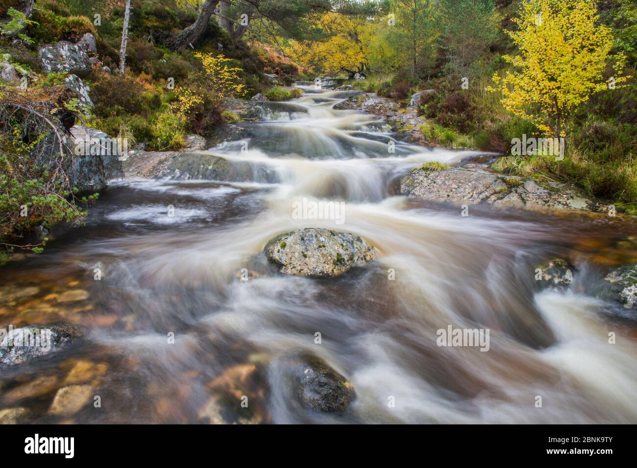 Water flowing at big wood river hi-res stock photography and images - Alamy