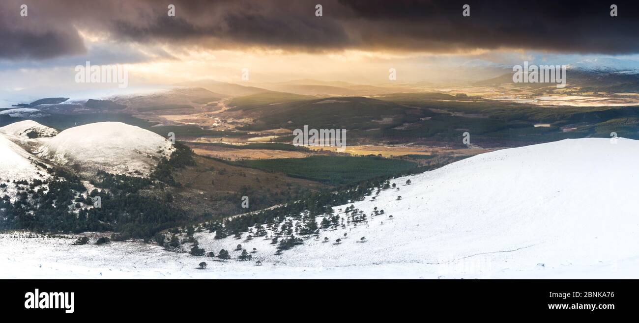 Stormy sky at sunset over a mix of natural regenerating woodland, forestry and open hill in Glenfeshie, Cairngorms National Park, Scotland, UK, Januar - Stock Image