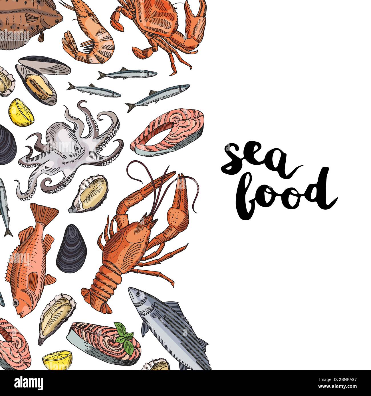 Vector background illustration with hand drawn colored seafood elements ...