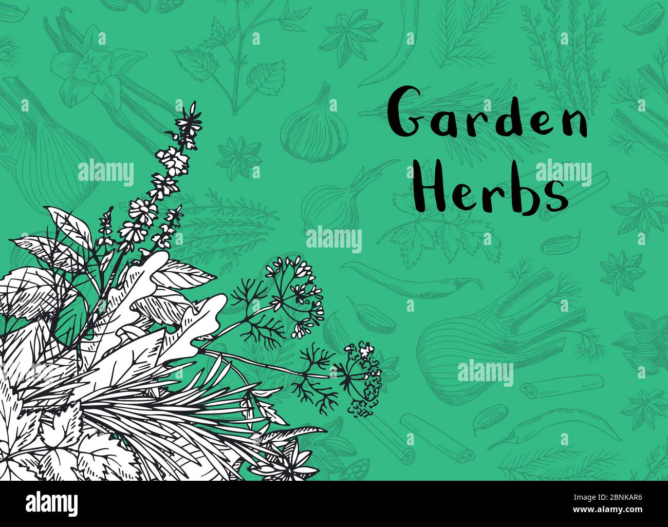 Vector hand drawn herbs and spices background Stock Vector Image & Art ...