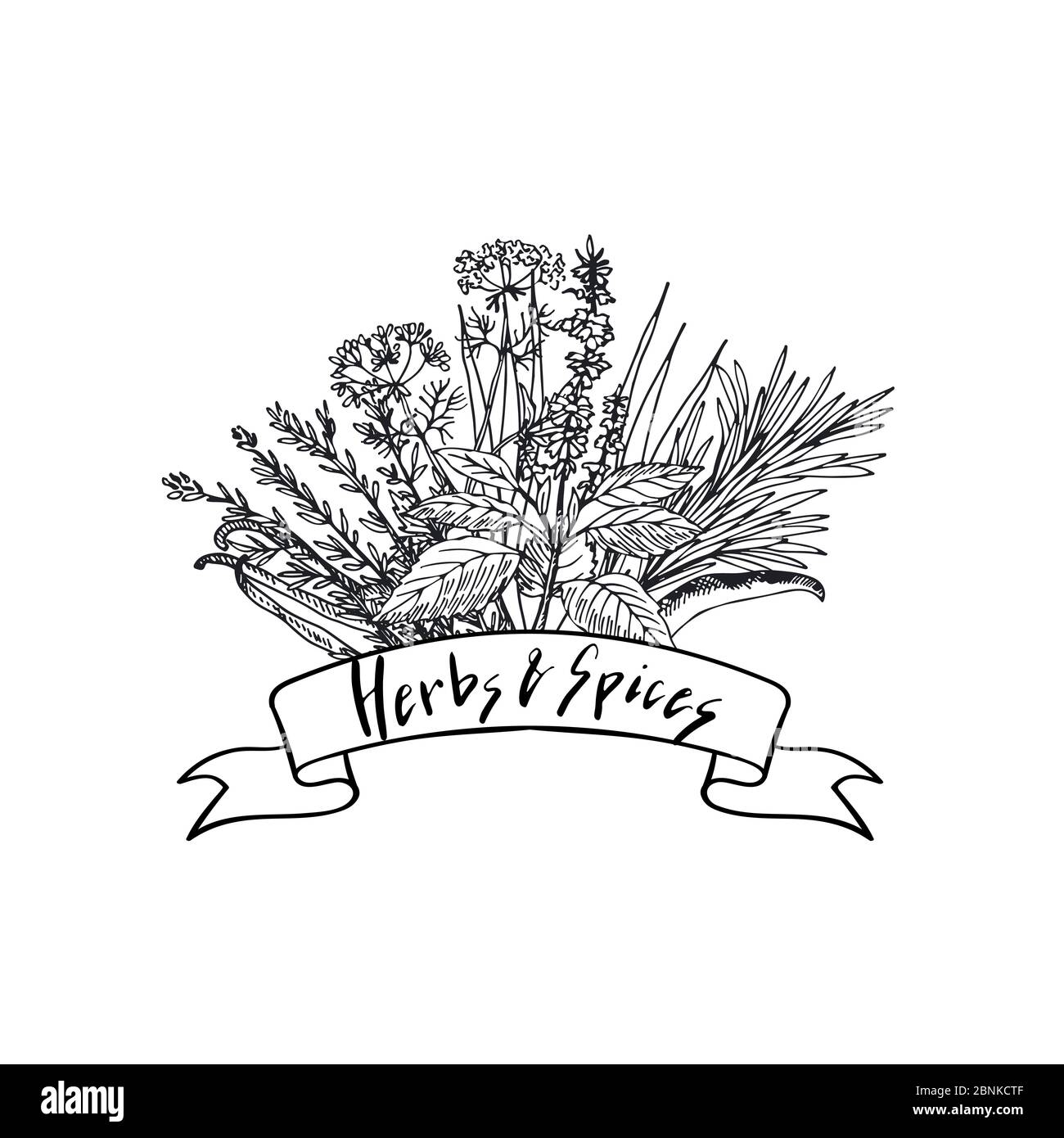Vector hand drawn herbs and spices in bouquet Stock Vector Image & Art ...