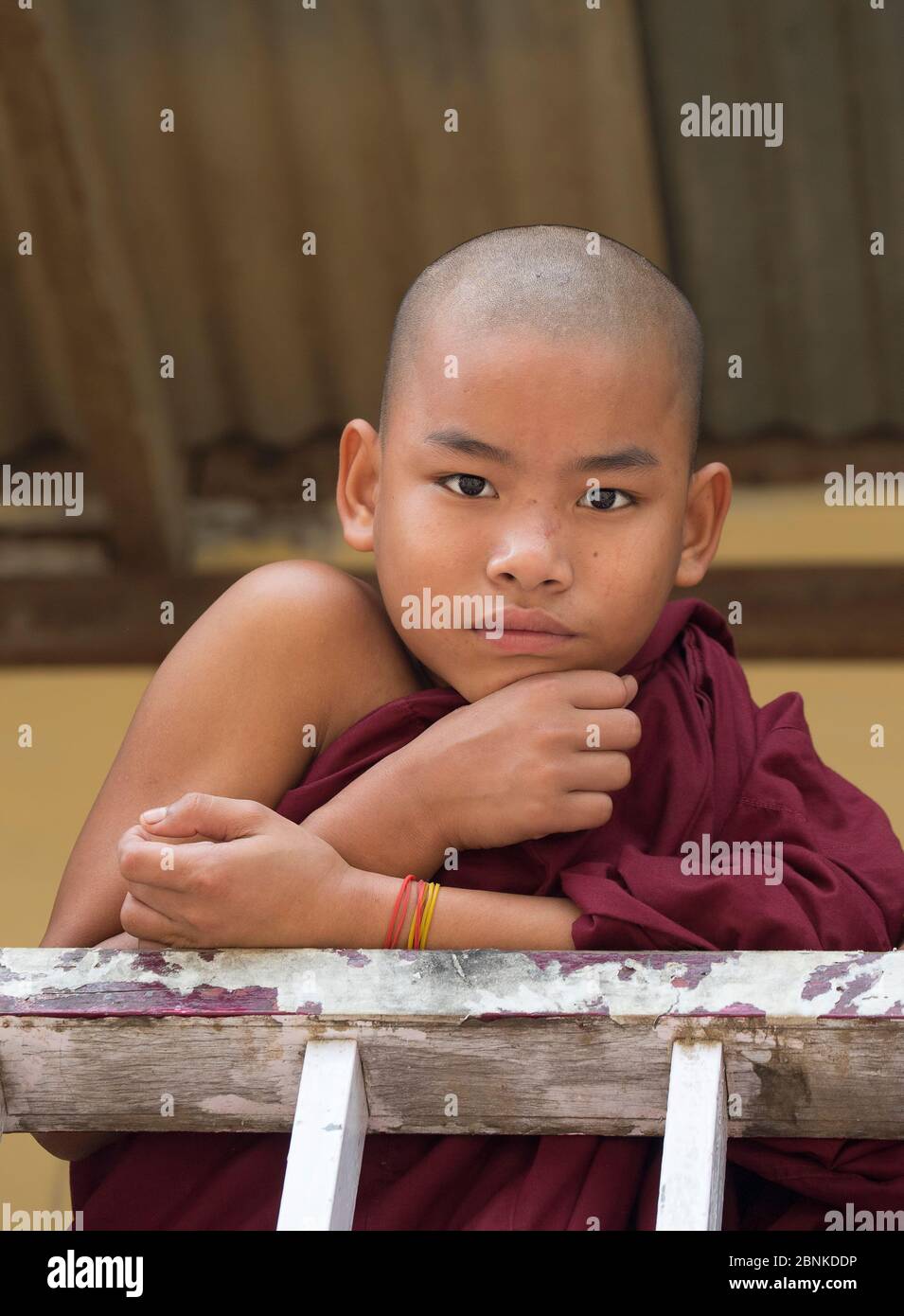 Buddhist Monks In Burma Or Myanmar Stock Photo Alamy