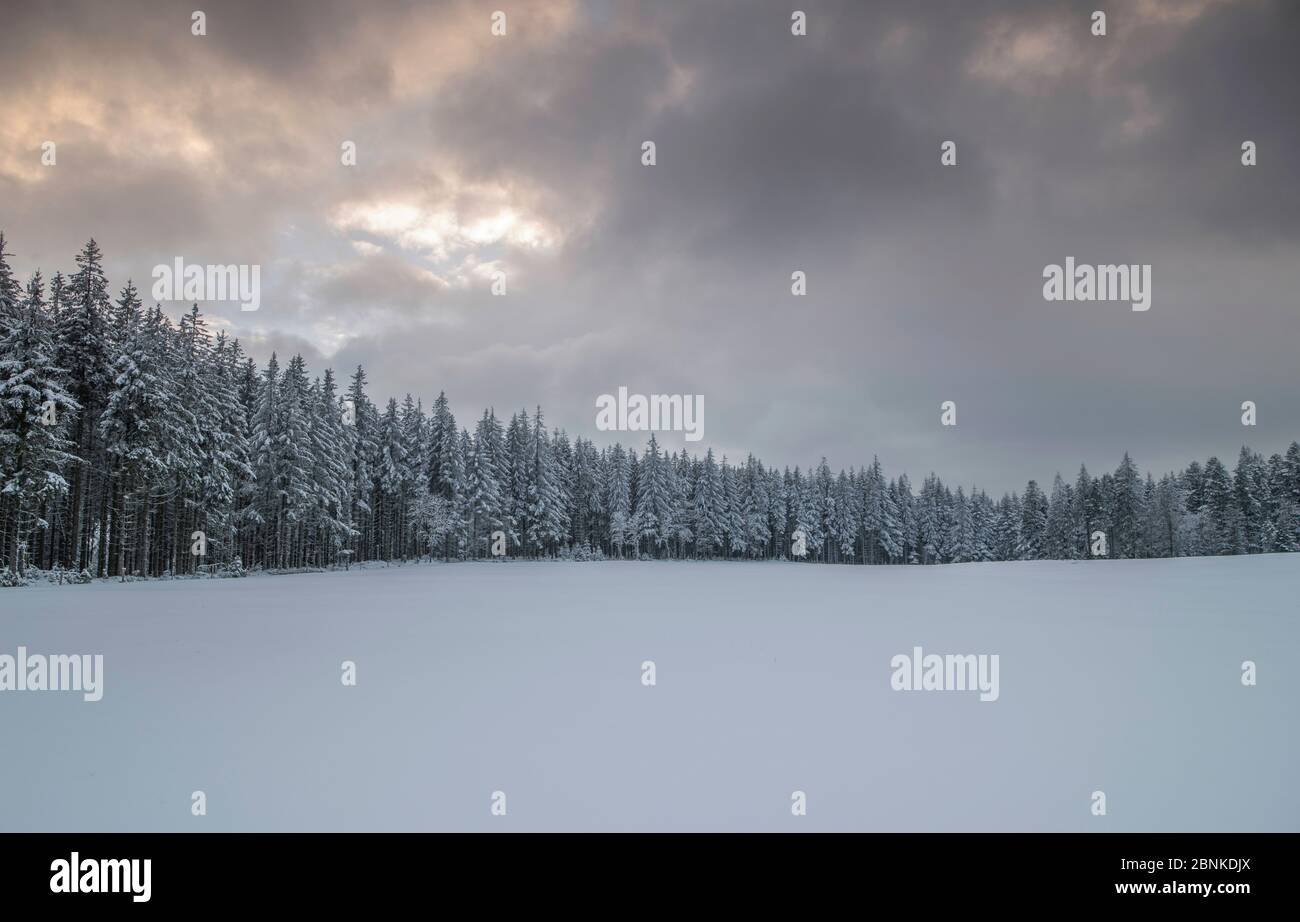 Col du Bonhomme in snow, Vosges Mountains Alsace, France, February 2016. Stock Photo