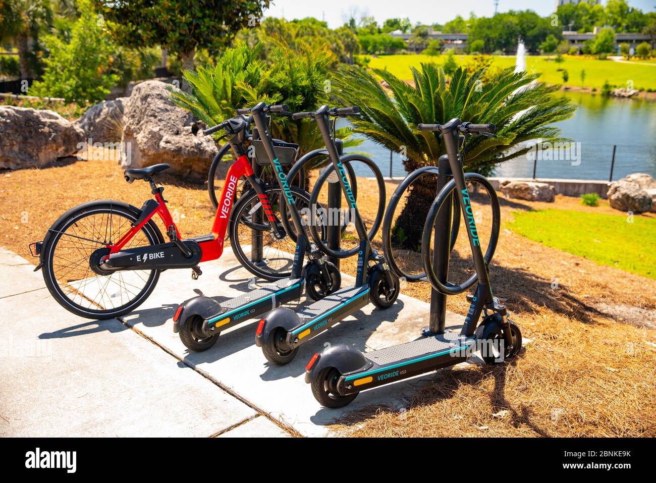dockless rental