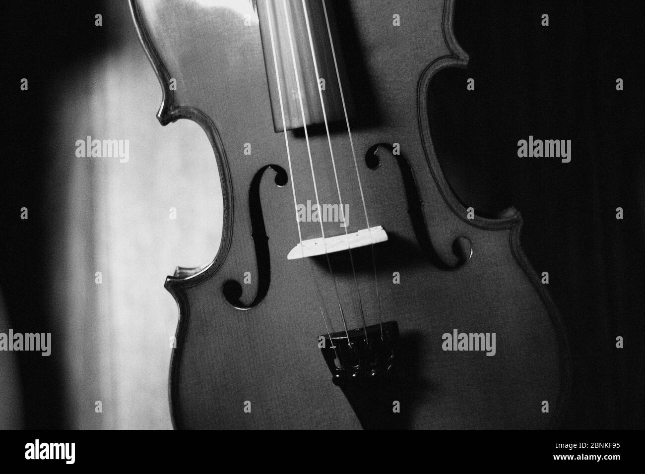 Musical instrument fiddle 4 strings full size blank and white style Stock Photo