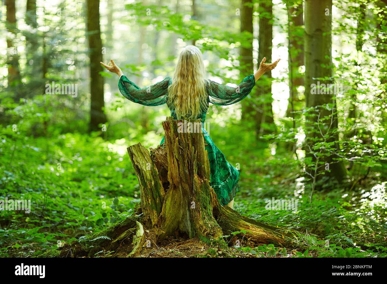 Woman in the forest hi-res stock photography and images - Alamy
