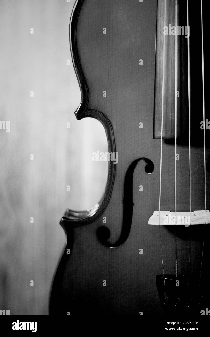 Fiddle 4 Strings full size musical instrument black and white with wooden  background Stock Photo - Alamy