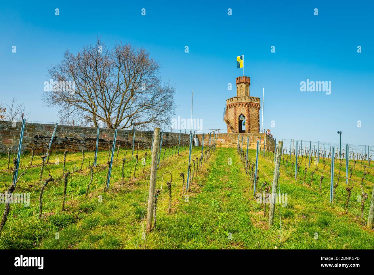 Flag tower in Bad Dürkheim, neo-Gothic sandstone building, octagonal dome hall with pointed arch windows with stained glass, outside stairs, popularly called 'coffee grinder', Stock Photo