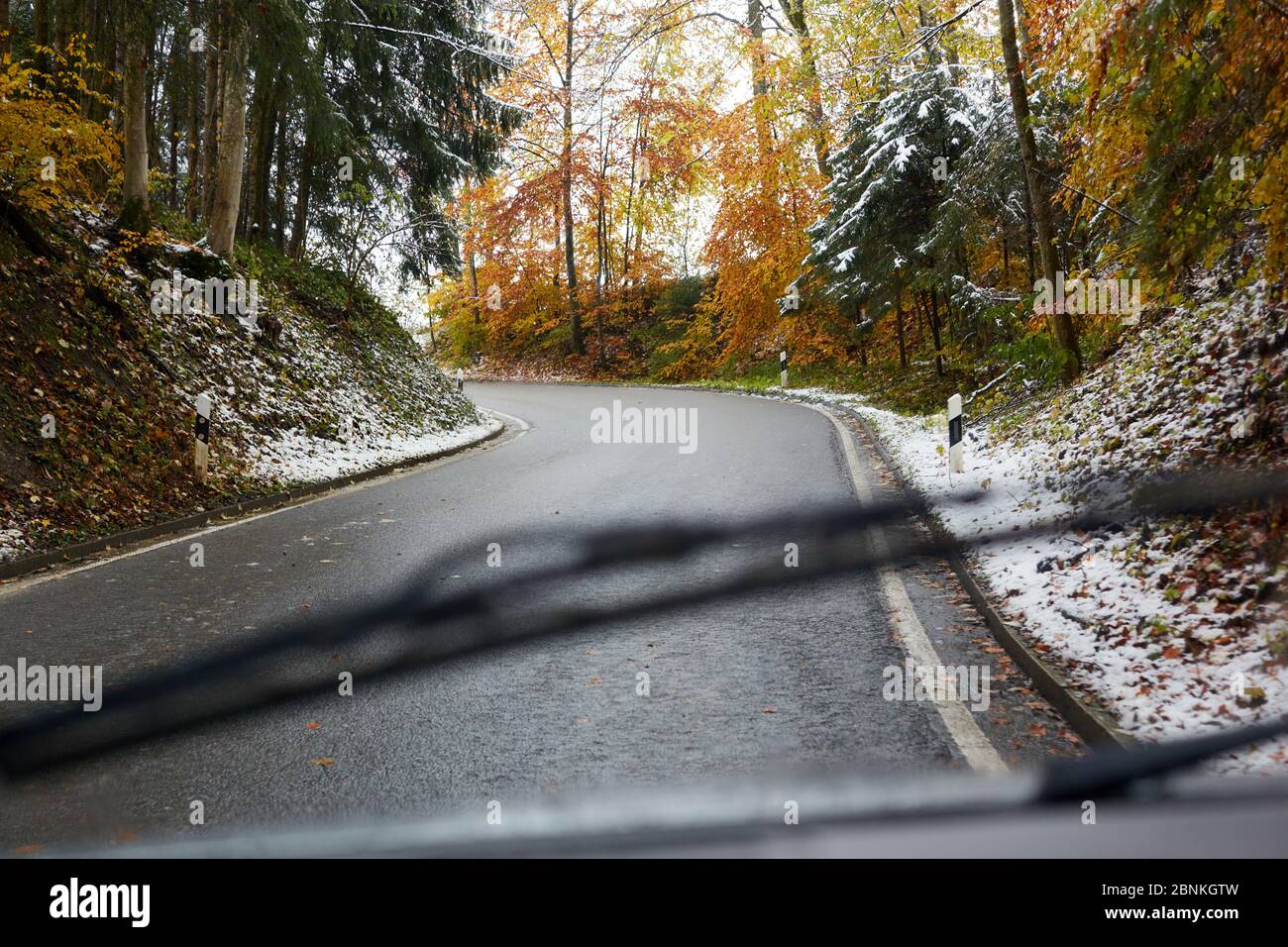 Road, leaves, ice, snow, forest, driver's perspective, wipers Stock Photo