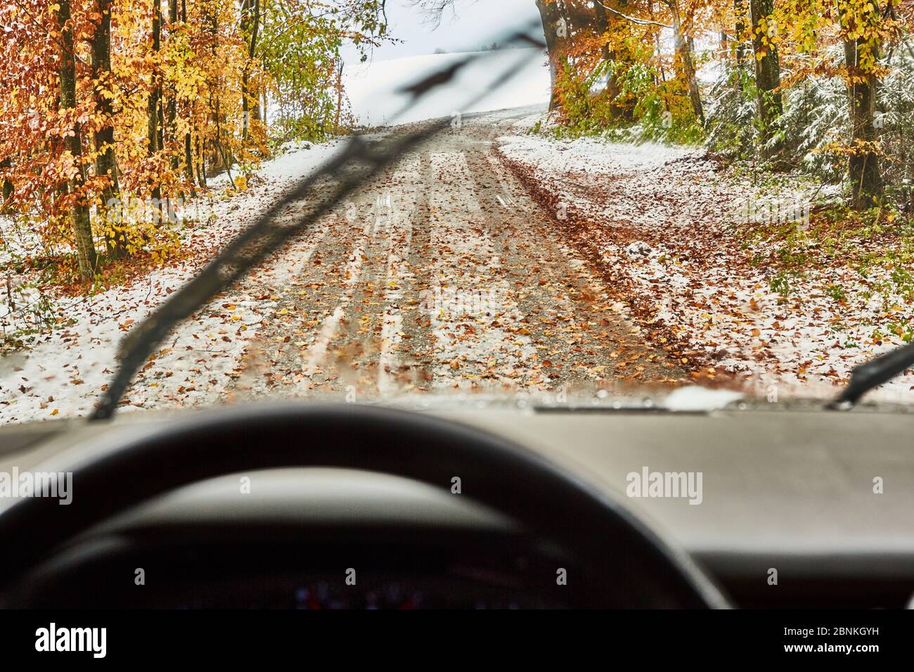 Country road, leaves, ice, snow, forest, driver's perspective, steering wheel, wipers, Stock Photo
