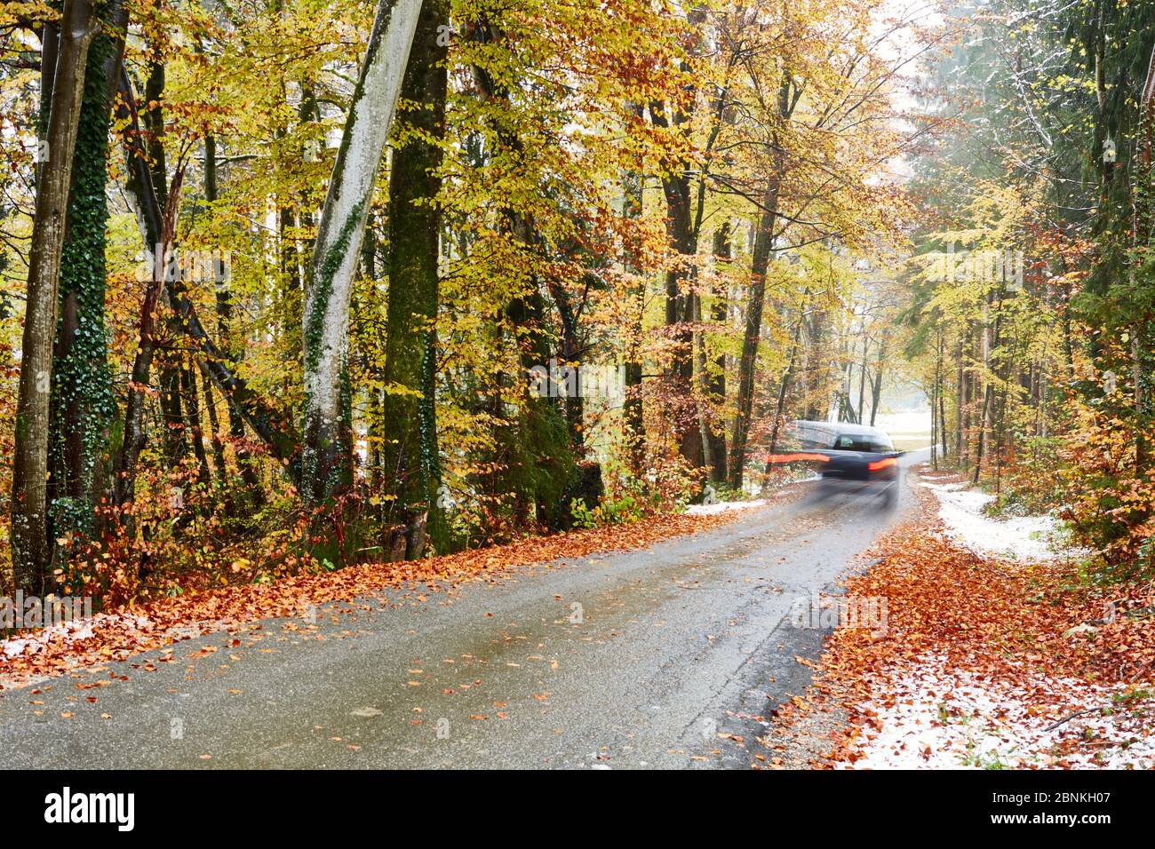 Country road, car, wet, snow, ice, slippery, autumn leaves, blurred Stock Photo