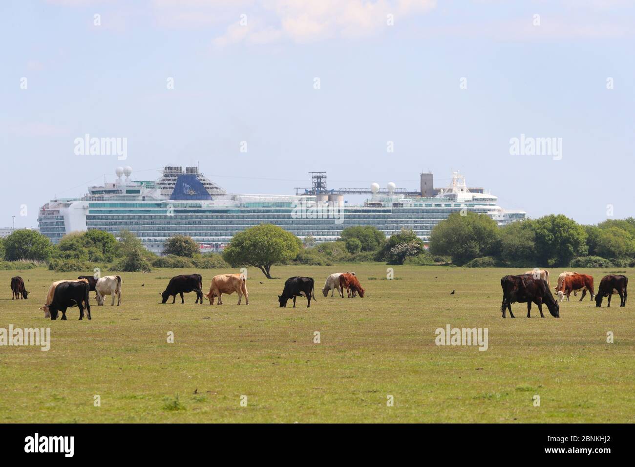 Dibden Bay on the New Forest waterside pictured with Southampton Docks