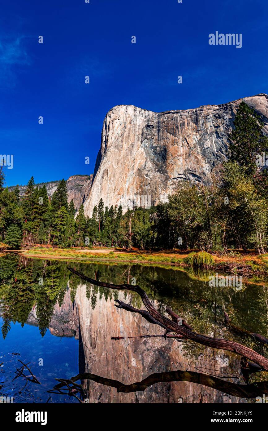 World famous rock climbing wall of El Capitan, Yosemite national park, California, usa Stock