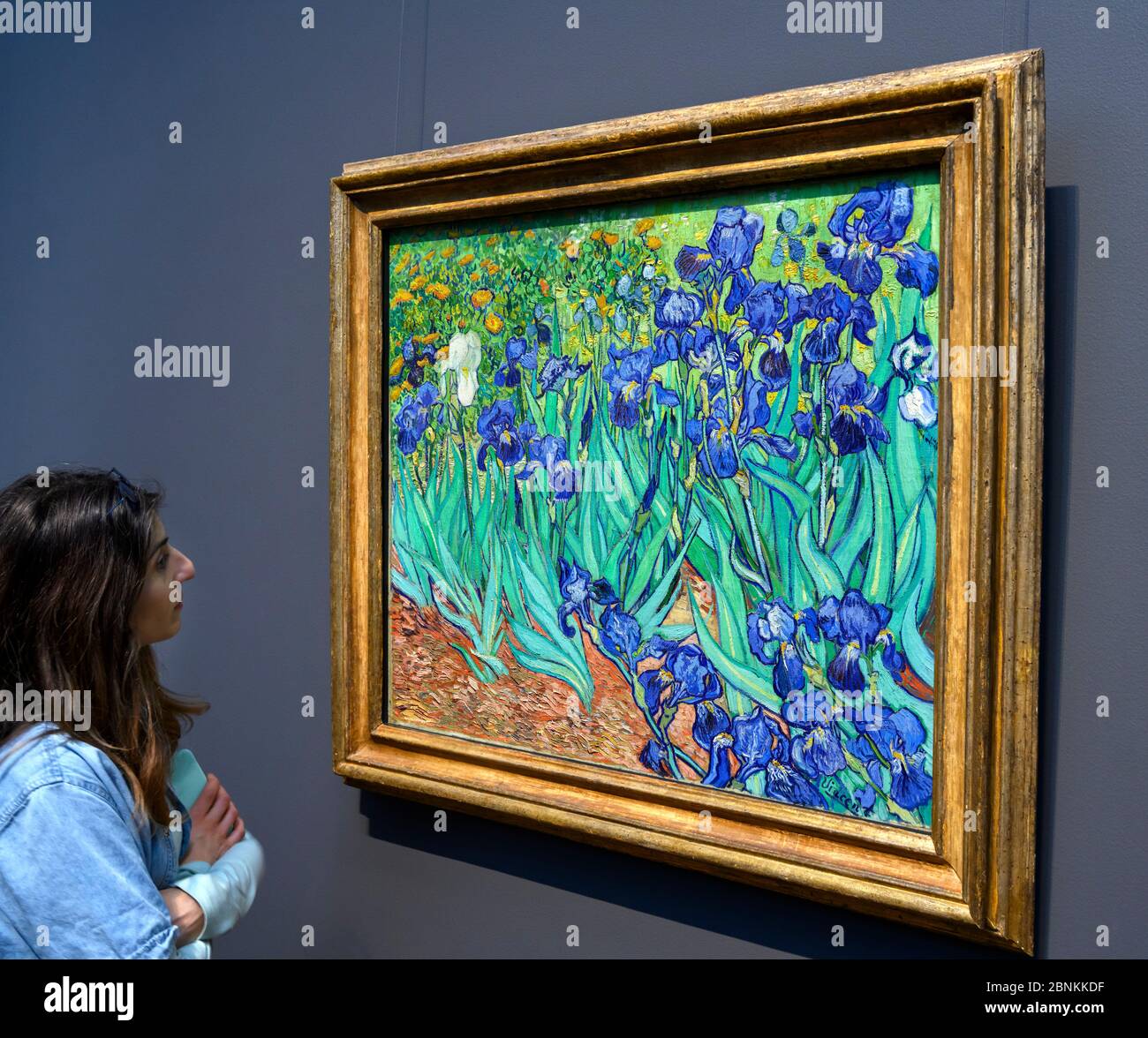 Woman looking at the painting 'Irises' by Vincent van Gogh, The Getty Center museum, Los Angeles, California, USA Stock Photo