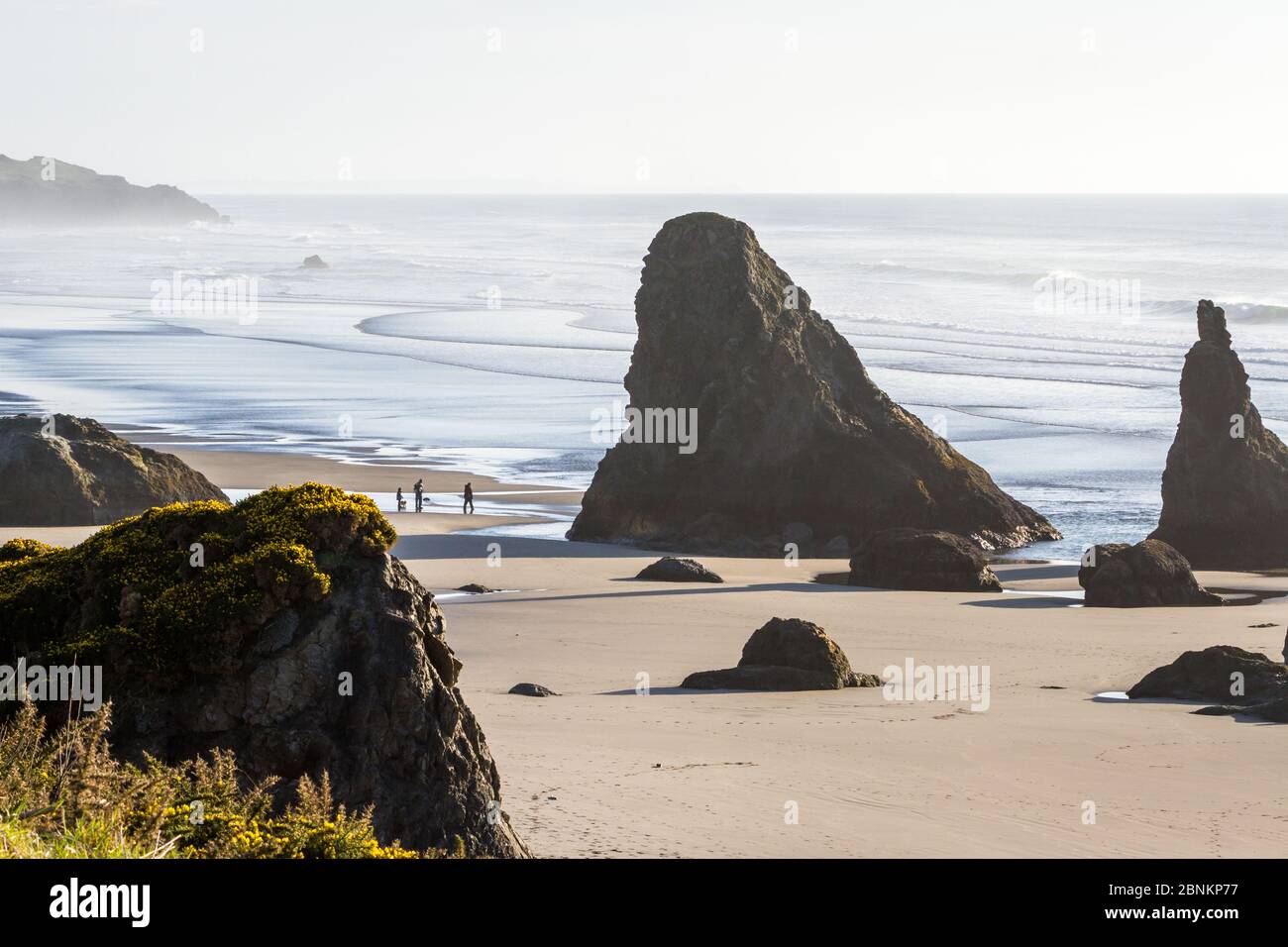 Tranquil afternoon in Bandon Oregon with low tides revealing a sandy