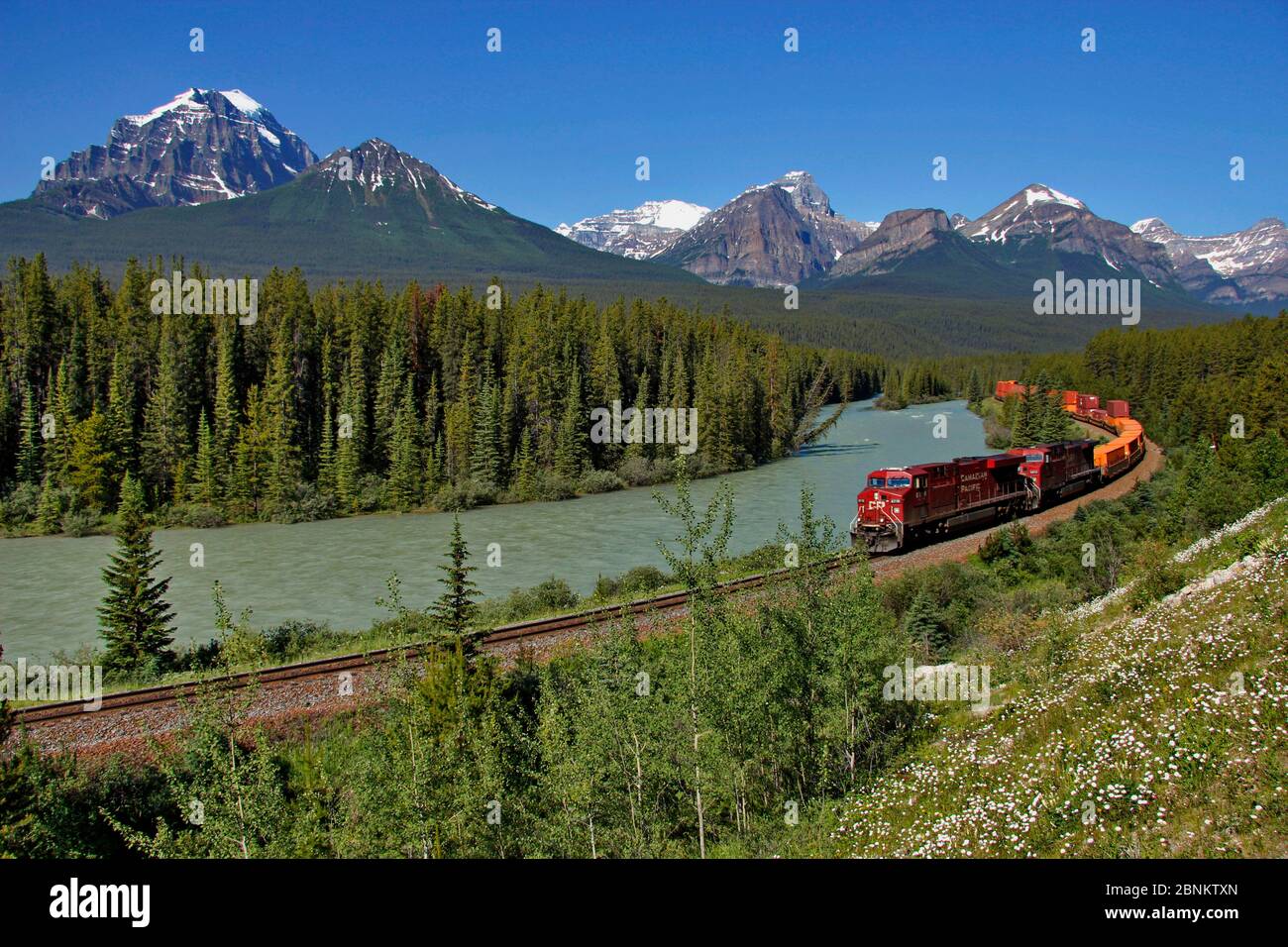 Morant's Curve, Bow River, Banff National Park, Alberta, Rocky Mountains, Canada Stock Photo