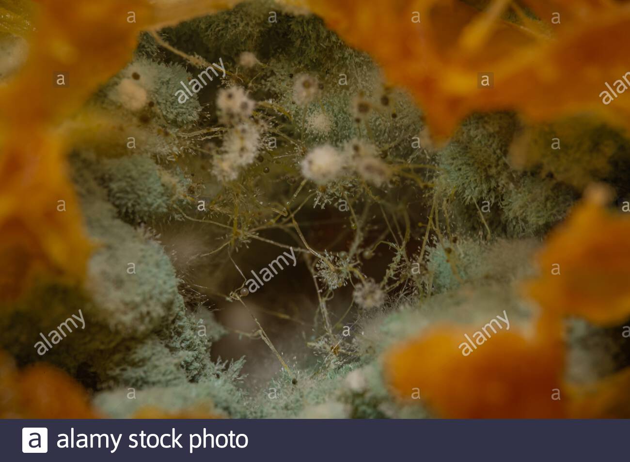 Zimmerdekor Fur Manner 12 Beste Schlafzimmer Ideen Fur Manner