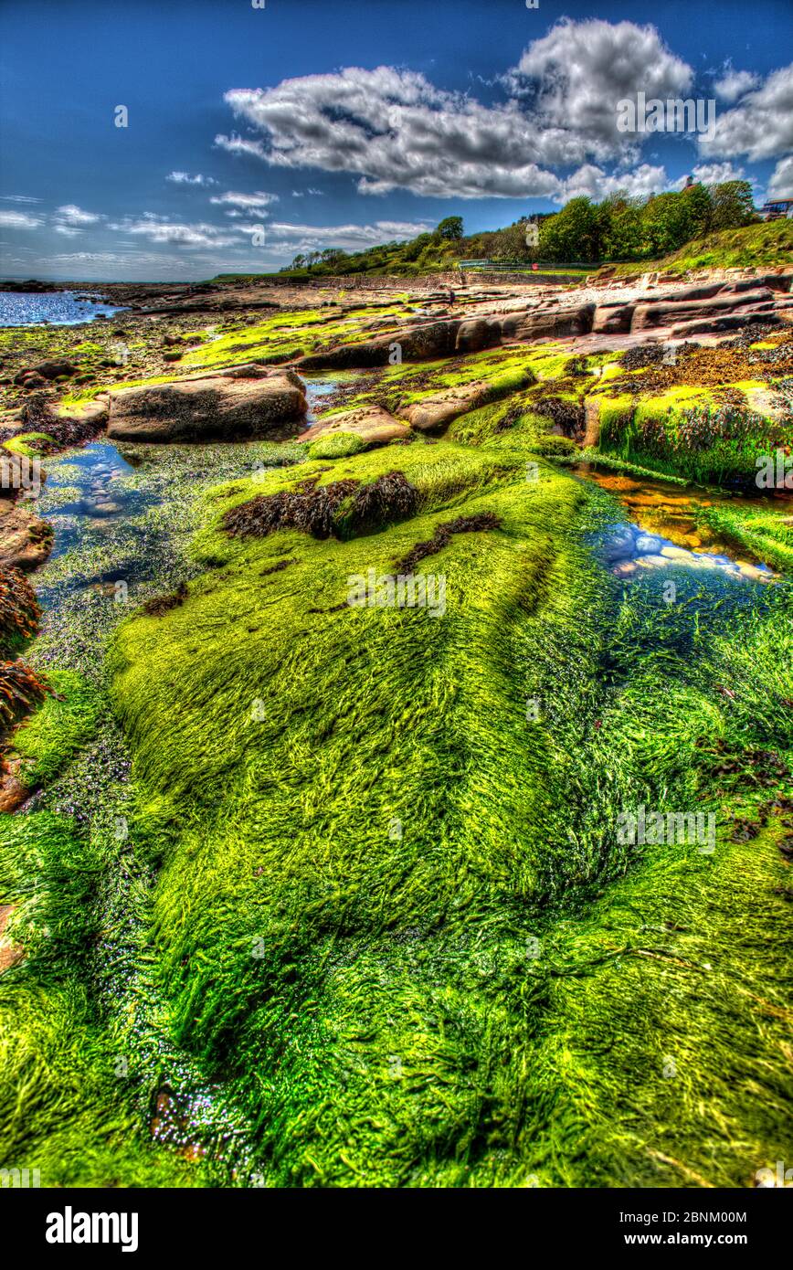 Town of Crail, Scotland. Artistic view of the rocky shoreline at Roome Bay, in the Fife town of Crail. Stock Photo