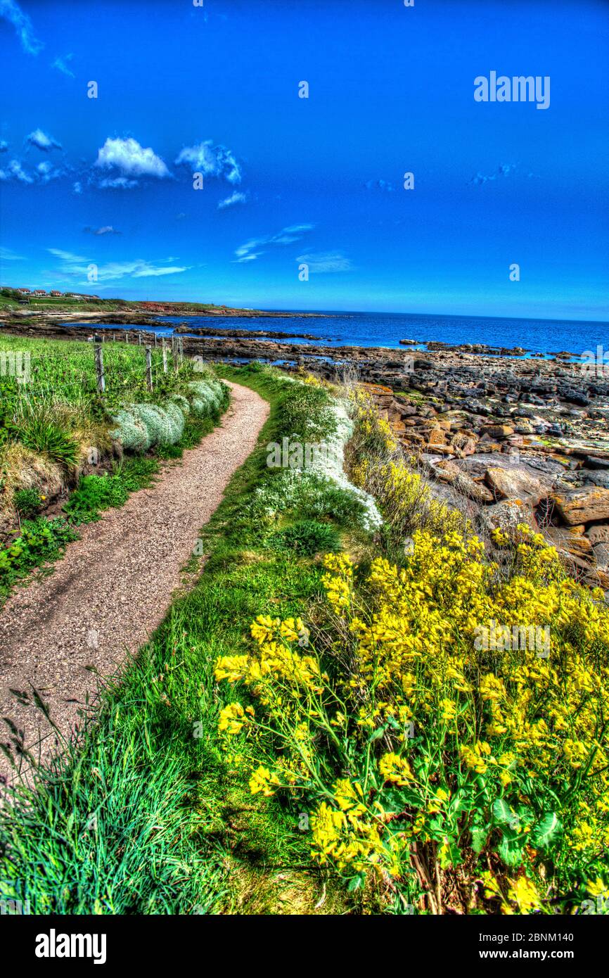 Town of Crail, Scotland. Artistic view of the Fife Coastal Path at Roome Bay, in the Fife town of Crail. Stock Photo