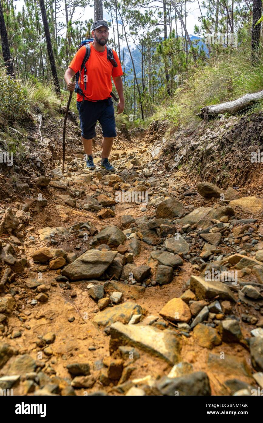 America, Caribbean, Greater Antilles, Dominican Republic, Jarabacoa, Manabao, Parque Nacional José Armando Bermúdez, Pico Duarte, hikers on a loamy path ascending to Pico Duarte Stock Photo