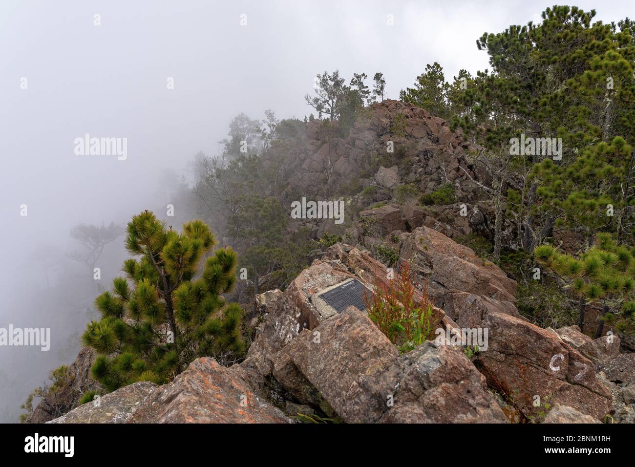 America, Caribbean, Greater Antilles, Dominican Republic, Jarabacoa, Manabao, Parque Nacional José Armando Bermúdez, Pico Duarte, view from the summit of Pico Duarte over the summit ridge in the fog Stock Photo