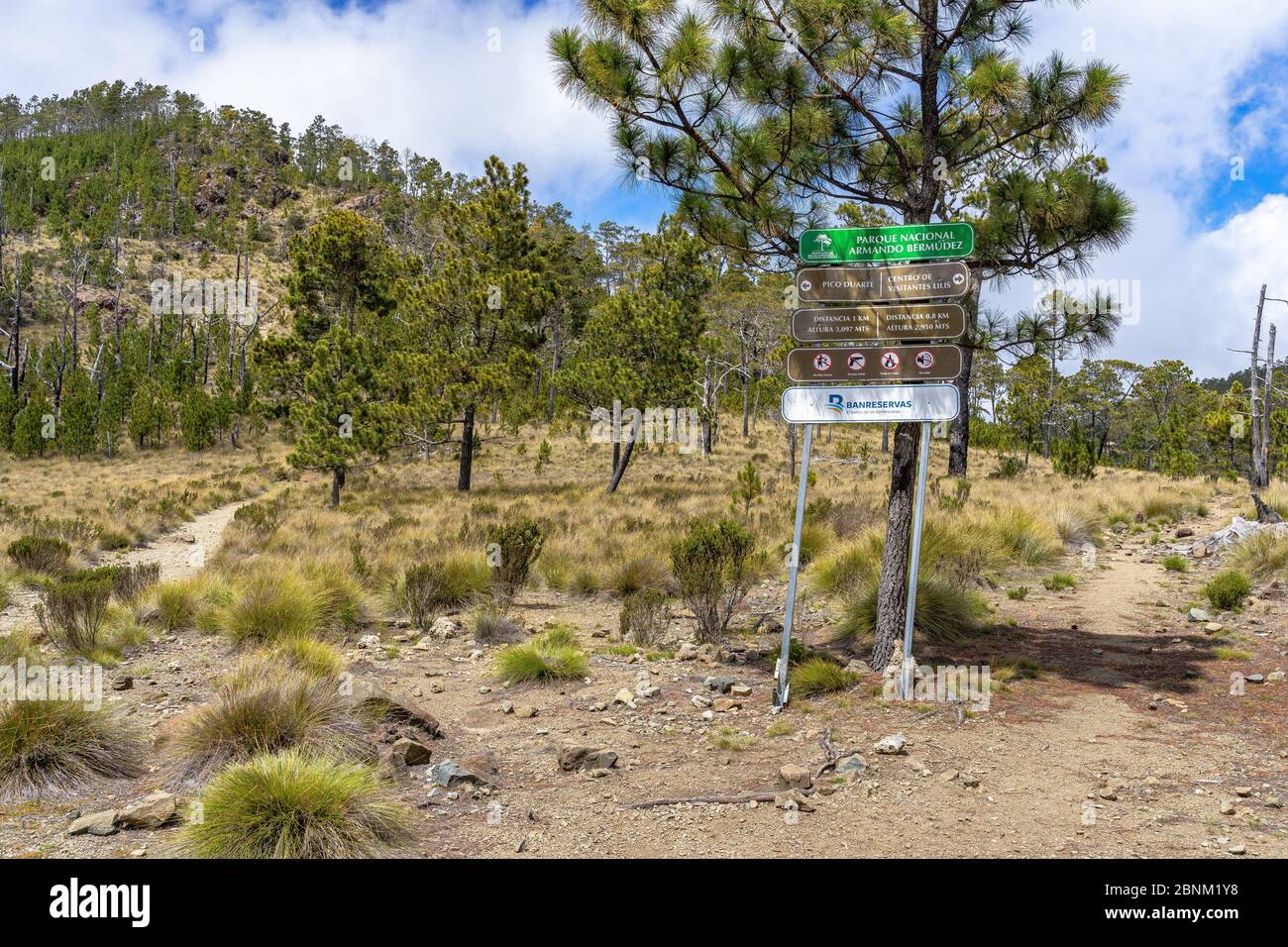 America, Caribbean, Greater Antilles, Dominican Republic, Jarabacoa, Manabao, Parque Nacional José Armando Bermúdez, Pico Duarte, fork in the valley of the Valle de Lilís with the Pico Duarte on the left in the background Stock Photo