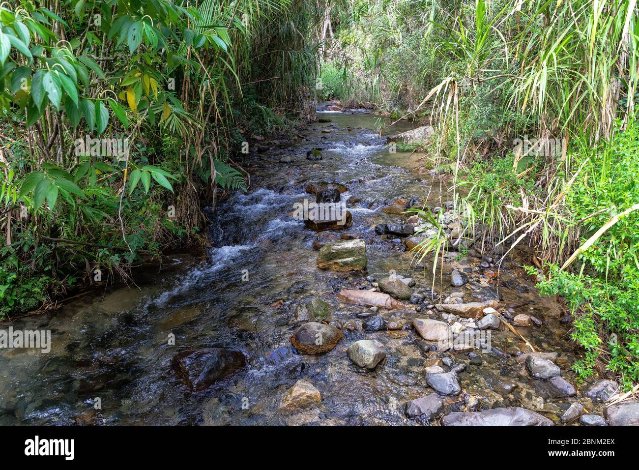 America, Caribbean, Greater Antilles, Dominican Republic, Jarabacoa, Manabao, Parque Nacional José Armando Bermúdez, Pico Duarte, view of the Yaque del Norte river in the José A. Bermúdez National Park Stock Photo