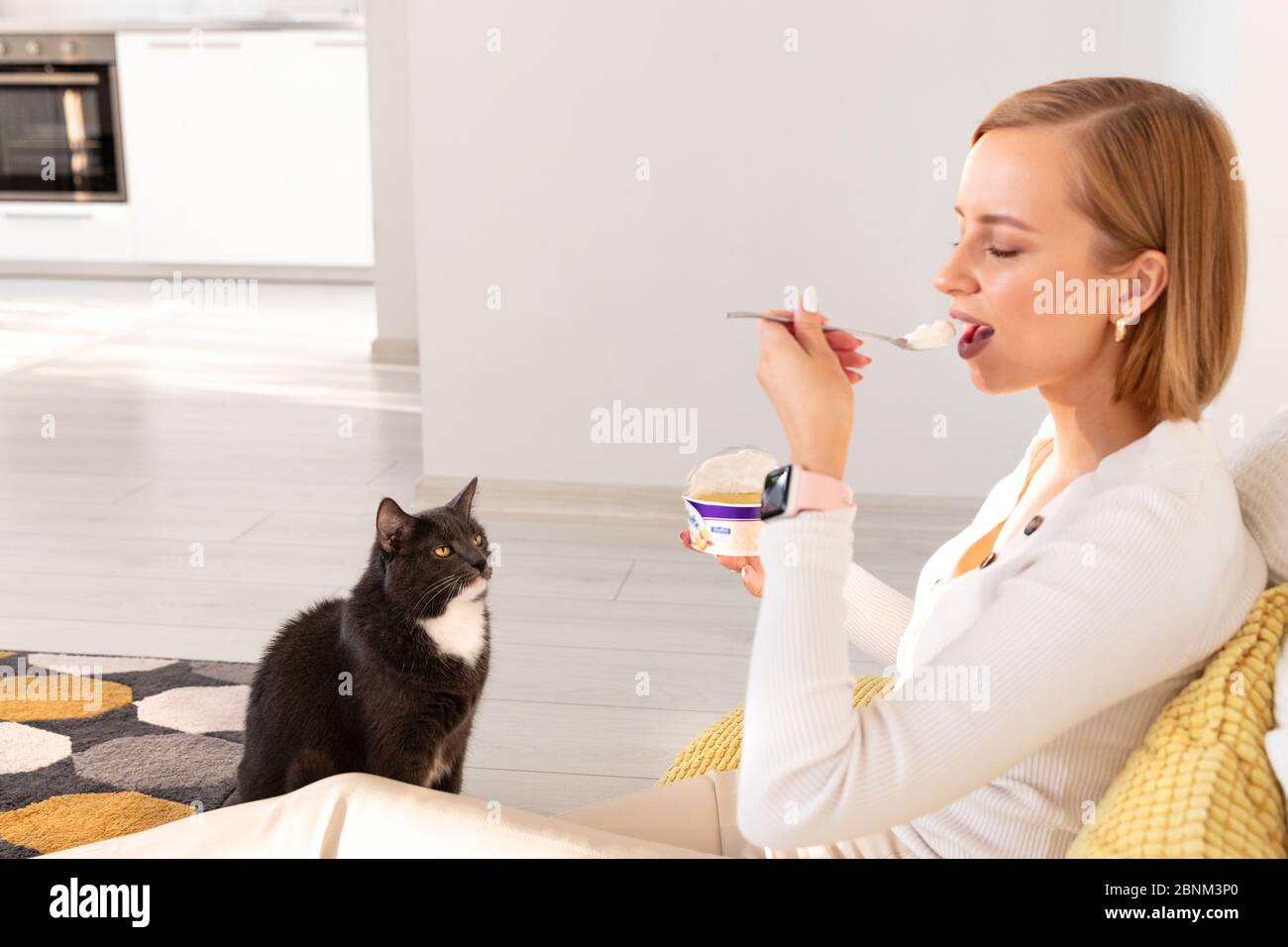 Black cat begs for food from her owner eating yogurt, watches her every action, sitting on the floor in living room, selective focus. Woman teases cat Stock Photo