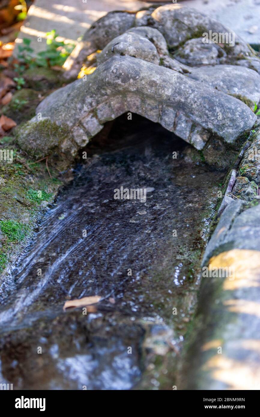 Water through a stone face mouth in Villa d'Este, Italian Renaissance  garden, Tivoli, Italy Stock Photo - Alamy