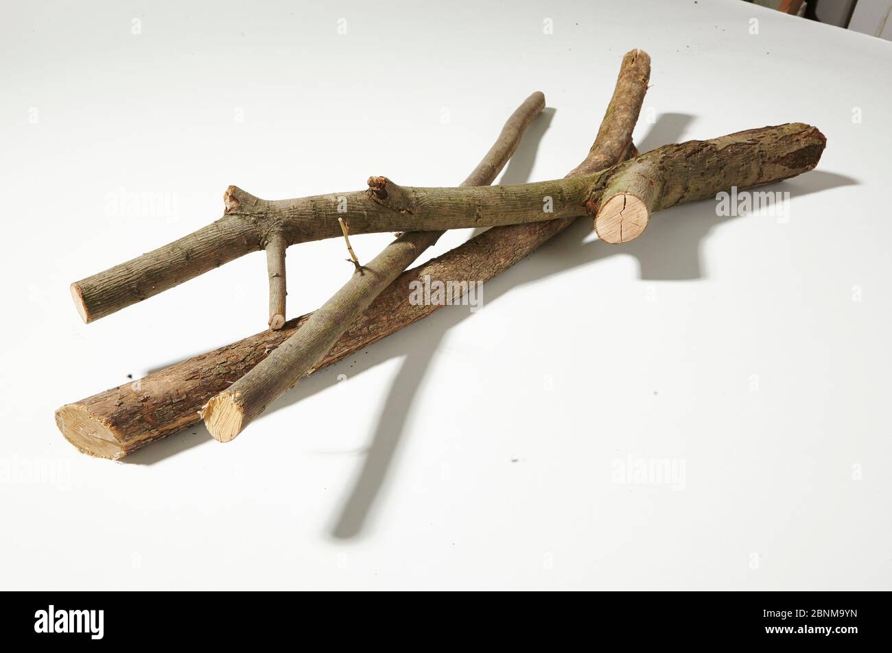 Construction of a wooden shelf, do-it-yourself production, step-by-step, material photo: sawn off branches Stock Photo