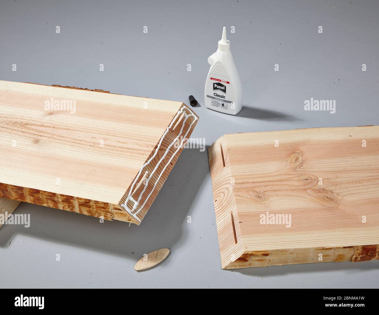 Construction of a wooden shelf, do-it-yourself production, step-by-step, step 6 applying glue and one-sided insertion of the flat dowels into the previously milled grooves Stock Photo