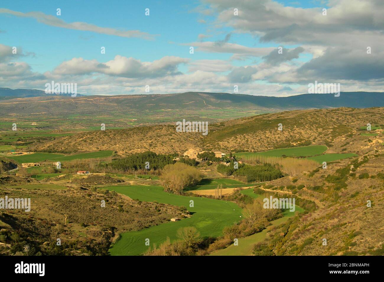 Green landscape with rustic town. Trees and meadows and blue sky with ...