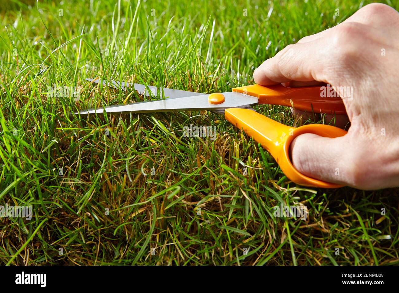 giant scissors cutting grass Stock Photo - Alamy