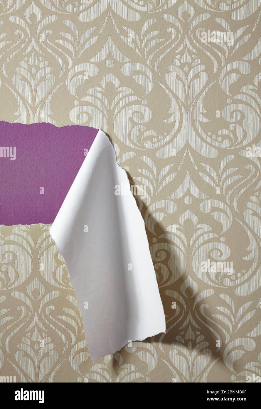 In some areas, wallpaper with a floral pattern is torn off a purple wall Stock Photo