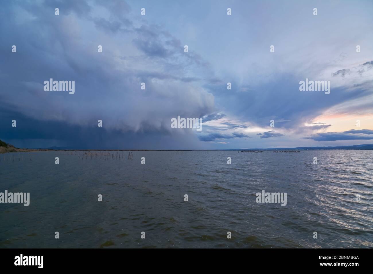 Landscape of a lake with storm clouds, moving waters reeds in the water, bluish tones Stock Photo