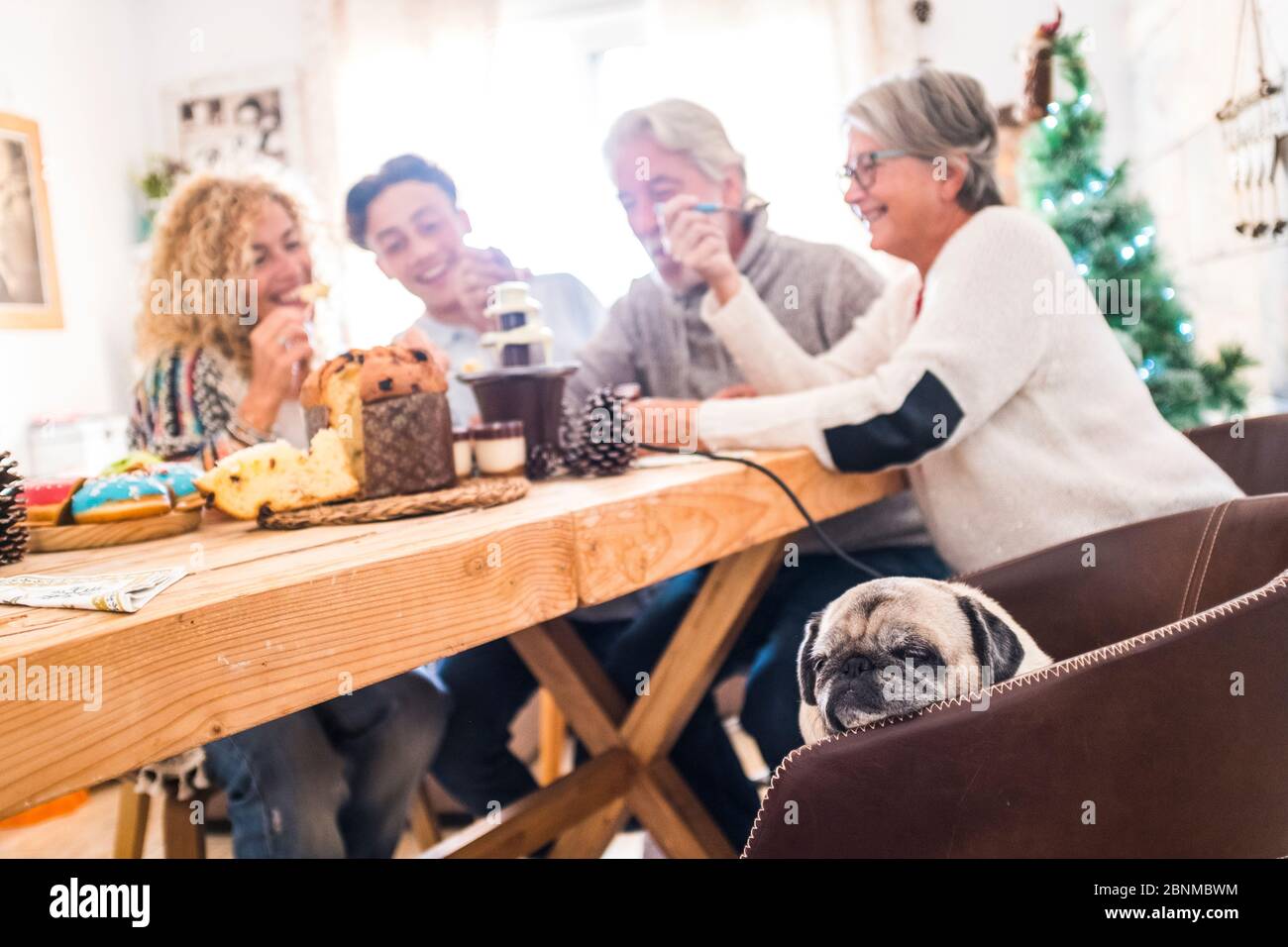 A group of people of mixed ages happily sit together at a table at Christmas time, lazy dog in the foreground Stock Photo