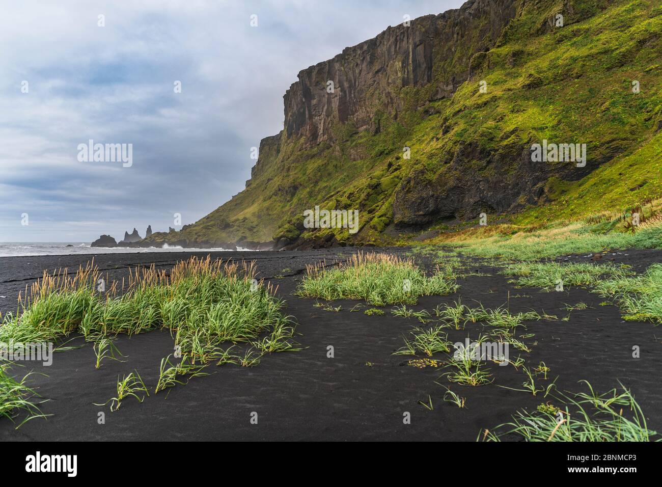 Europe, Iceland, South Iceland, Vik y Myrdal, lava beach Stock Photo
